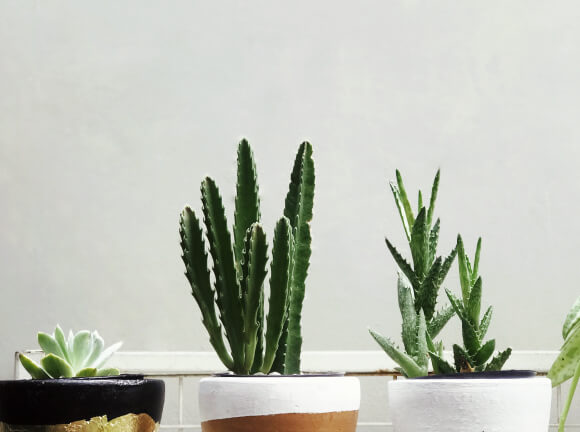 outdoor-bg Decorative Jar